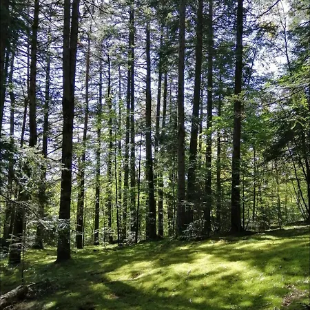 Domaine Prive Dans Les Bois *
