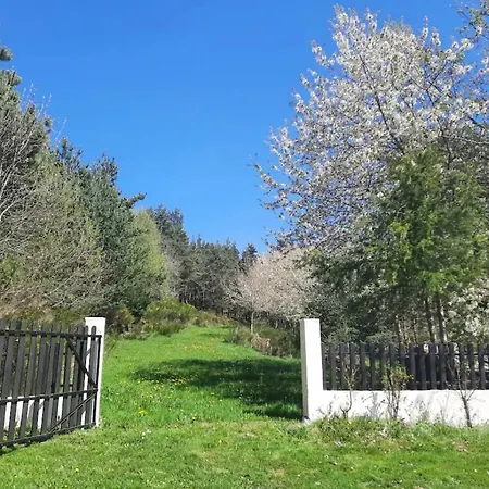 Domaine Prive Dans Les Bois Semesterbostad Salettes (Haute-Loire)