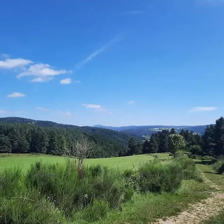 Domaine Prive Dans Les Bois Salettes (Haute-Loire)